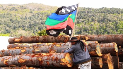 La Resistencia Ancestral Mapuche (R.A.M.)