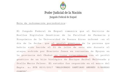 Maldonado: el ADN no era de Santiago y se cae la hipótesis oficial del puestero