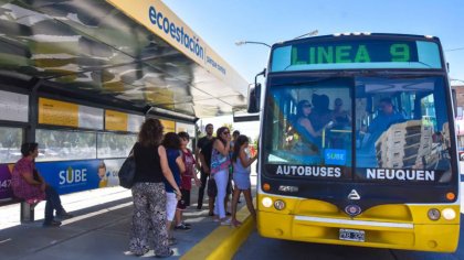 El Intendente de Neuquén ofrece a los jóvenes manejar un colectivo por $3.600