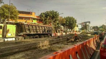 Por nueva línea de metrobús denuncian ecocidio en Coyoacán