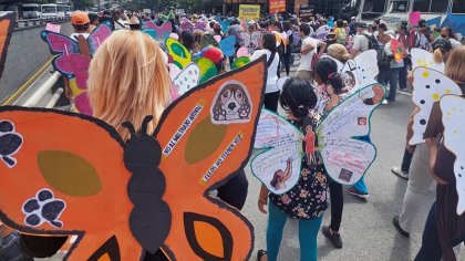 La caminata de "Las Mariposas", ¿contra la violencia a las mujeres, junto a quienes apoyan el genocidio en Palestina?