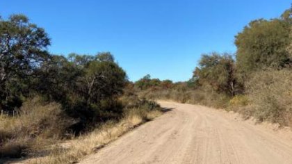 Oeste cordobés: nuevo avance sobre el bosque nativo para pavimentar un camino rural