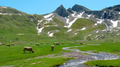 #SalvemosCanalRoya, el valle del Pirineo entre amenazas patronales y luchas por su defensa