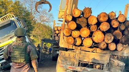 Condenados a pagar 700$ mil por vincular a alto mando de Carabineros con robo de madera