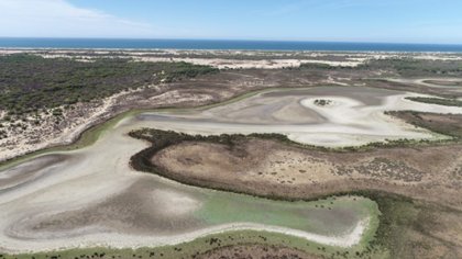 Doñana se seca: otra catástrofe ecológica capitalista 