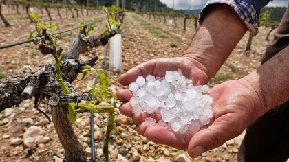 El gobierno de Suárez le dio a productores un bono que correspondía a contratistas de viña de Mendoza