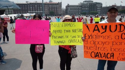 Maestros de la CNTE exigen atención a los incendios en Oaxaca 