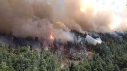 Preocupante incendio en la zona de El bolsón