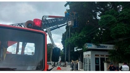 Muere en Quilmes trabajador municipal que podaba un árbol sin protección y entre cableados de luz de alta tensión