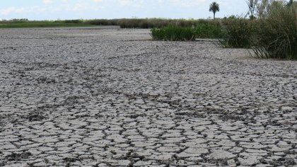 Otro intento por legitimar el fraudulento e ilegal proyecto “Naudir Delta” por parte del municipio de Escobar