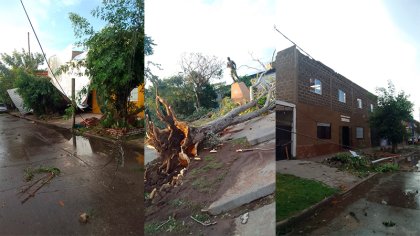 El temporal ya contabilizó una víctima fatal en la zona sur del Gran Buenos Aires 