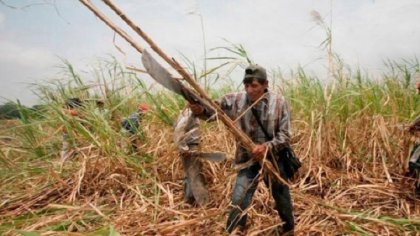 El 66% de los trabajadores informales son pobres bajo el gobierno de Milei