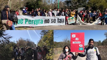 Recorrida de ambientalistas en defensa de la Reserva de Biosfera Pereyra