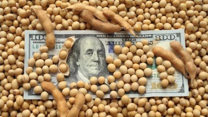 Cepo para el “dólar soja”: tensión con las cerealeras que no podrán comprar divisas