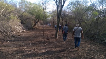 Comunidades wichí denuncian avance del desmonte y fumigaciones en sus territorios