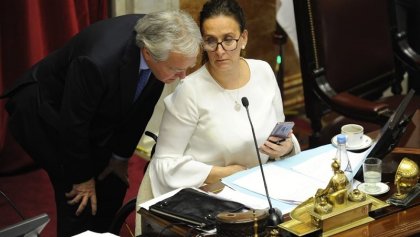 Aborto: el rol vergonzoso y retrógrado de Michetti en el Senado 