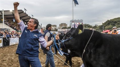 Tiembla la oligarquía: la carne bajó 3% durante los cuatro meses de medidas del Gobierno