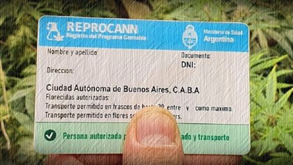 Cultivo de cannabis: ¿qué quiere hacer el Gobierno de Milei con el Reprocann?