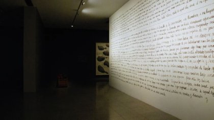 Arte, capitalismo y violencia: un proyecto fracasado de Ana Gallardo en el MUAC