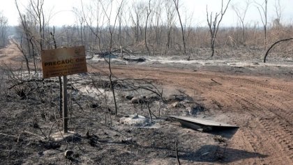 Incendio de las Yungas: el fuego reactivó en el Parque Nacional Calilegua y cerca de pozos petroleros