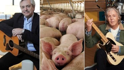 Alberto, Liz Solari y Paul McCartney: "aclaraciones" presidenciales sobre el acuerdo porcino