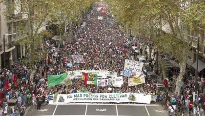 Séptima marcha nacional por la legalización de la marihuana