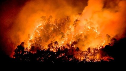 Gran ola de incendios forestales amenazan los ecosistemas y a la población