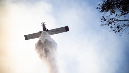 Incendios forestales como negocio capitalista: El “cartel del fuego” e inmobiliarias como protagonistas