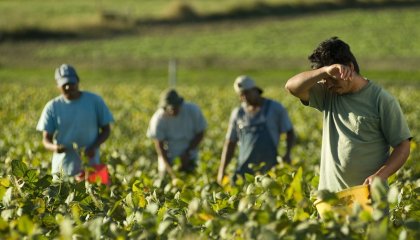 Estados Unidos: trabajadores migrantes en riesgo ante la pandemia