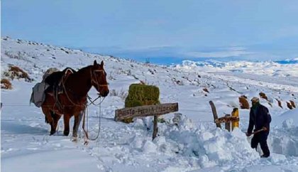 Abandono planificado y nevada, el drama de la línea sur rionegrina