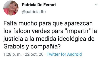 Impartir justicia con Falcon verdes, el siniestro pedido de legisladora radical en Twitter