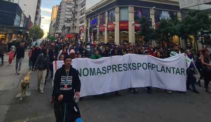 Mar del Plata: Se realizó jornada por la legalización de la marihuana