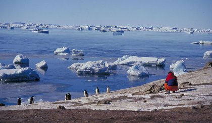 Un récord alarmante: la Antártida tuvo la temperatura más alta en casi 70 años