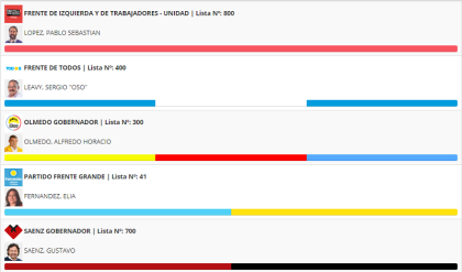 Seguí acá los resultados electorales en Salta