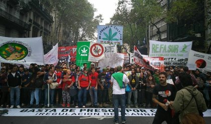 ¡Basta de vender humo! piden que Alberto Fernández indulte a cannabicultores condenados