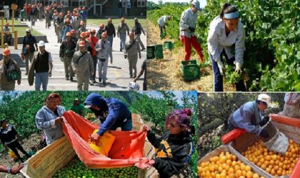 Se realizó primer plenario de trabajadores rurales y agroindustria