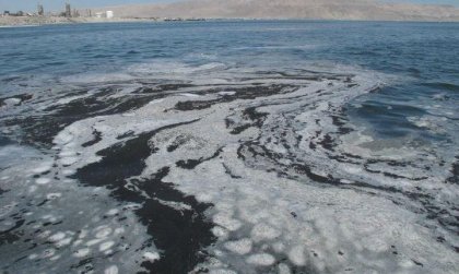 “La bahía no está enferma, está muerta”: Entrevista a José Sánchez dirigente de los Pescadores Artesanales en Mejillones