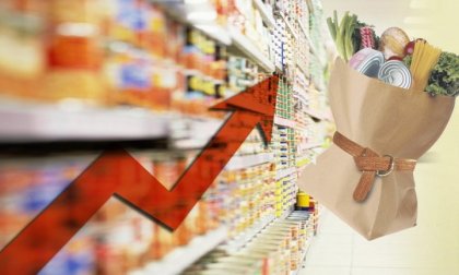 El negocio de los alimentos: ¿cuánto ganaron las empresas en la pandemia? 