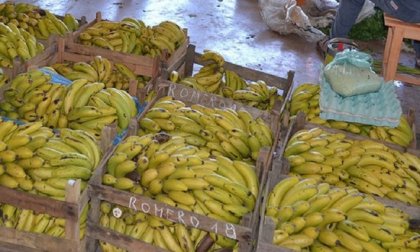 #Bananazo: productores reparten fruta en Plaza de Mayo - YouTube