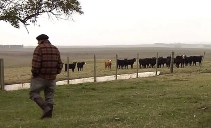 Un peón condenado a prisión por faenar una vaca para sus hijos hambrientos tuvo que ser absuelto 