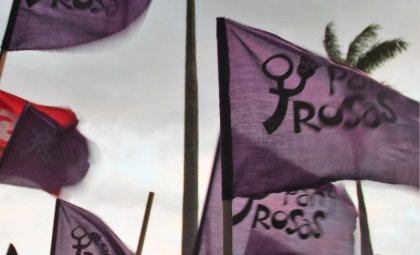 El feminismo socialista desde Pan y Rosas 