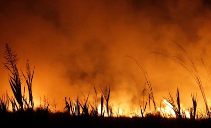 Argentina: el incendio en la provincia de Corrientes amenaza al segundo humedal más grande del planeta