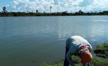 Estudios revelan decenas de plaguicidas en cuenca del Río Sixaola