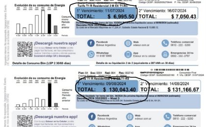 “Pasé de pagar $6.000 a $130.000 de luz”: así saquean nuestros bolsillos Milei y Edesur
