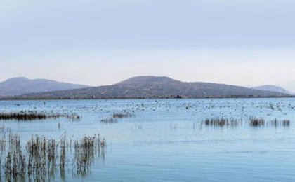 Declaran el Lago de Texcoco como nueva Área Natural protegida