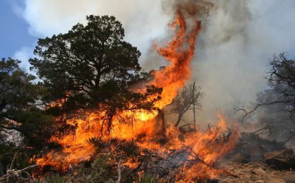 Reportera amenazada por denunciar incendios forestales provocados en Michoacán