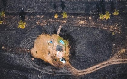 Incendios, pinos y precarizacion en el infierno del FMI