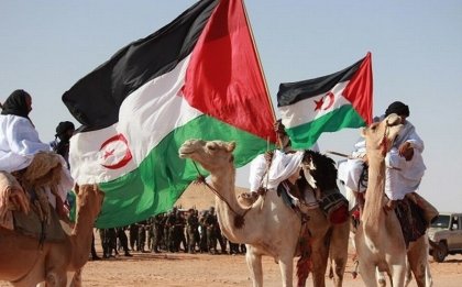 Red de apoyo al Sahara occidental anuncia importantes actividades 