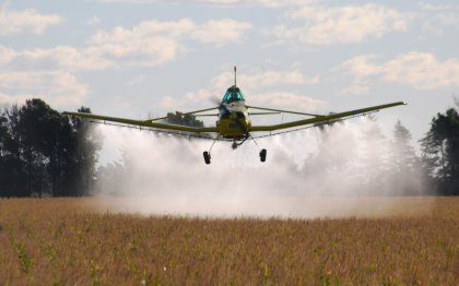 Encuentro de Pueblos Fumigados denuncia que el trigo HB4 es más contaminación y saqueo