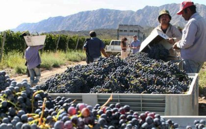 Se profundizan las tensiones entre los productores vitivinícolas y el Gobierno